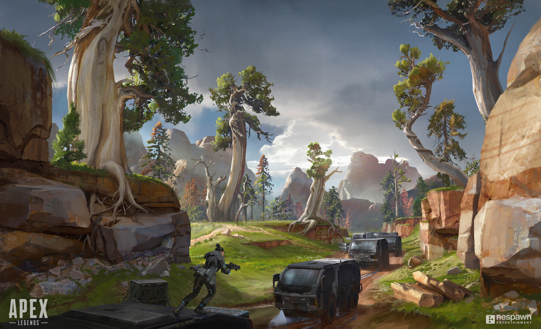 德甲一直因 德甲一直因